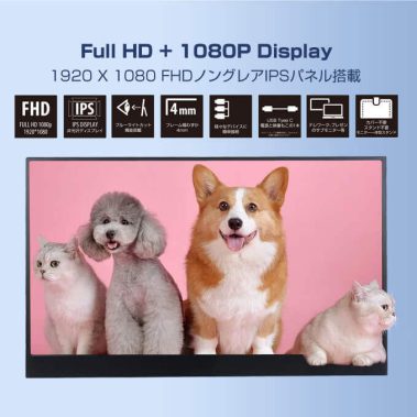 Full HD + 1080P Display